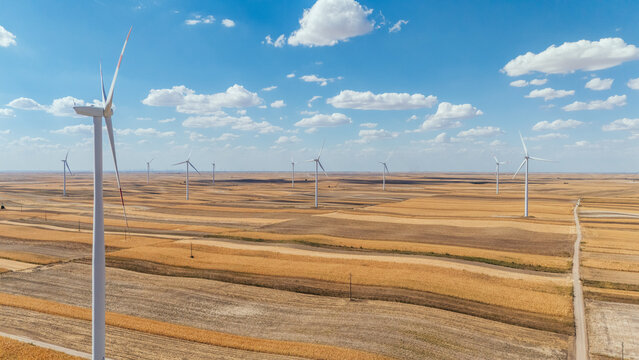 Aerial view of Wind farm Alibunar with large white wind turbines standing in vast golden agricultural fields under a bright blue sky in Alibunar, Vojvodina, Serbia.