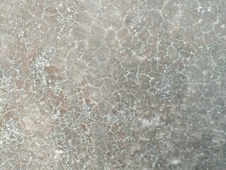 Fototapeta premium Aged light brown-gray surface covered in fine web like cracks and faded white residue. Parched, arid or weathered wall ground texture, distressed grunge background.