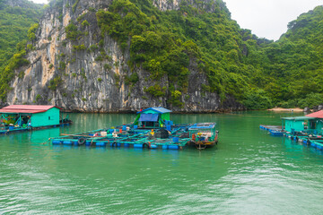 Floating fish farms with houses in Cat Ba, Vietnam © Tomasz Wozniak