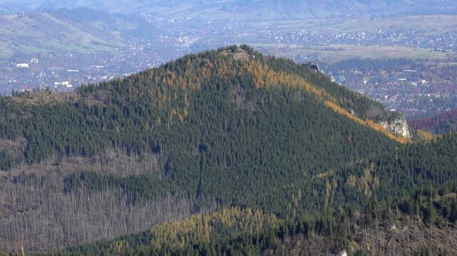 Forested mountain hill above Podhale in autumn