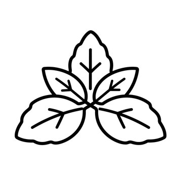 Basil icon flat outline in black
