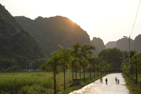 Nihn bihn landscape