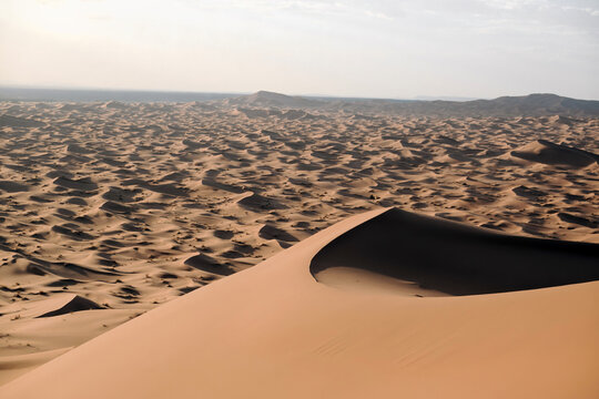 Merzouga erg chebbi sand dunes extending across the sahara desert, showing a vast, arid landscape under a clear sky