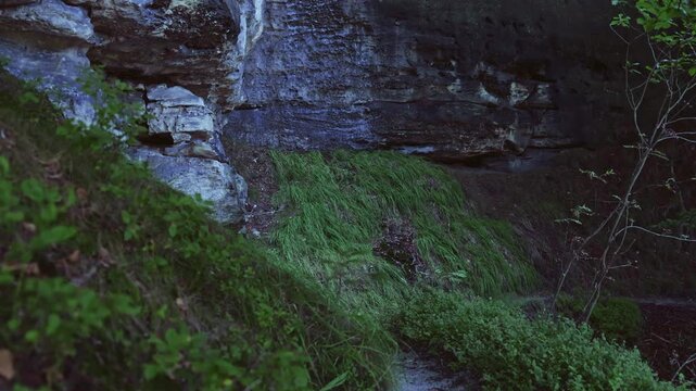 Narrow trail winding past dark mossy rock formation and lush green vegetation