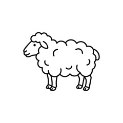 Obraz premium Simple line art illustration of a cute fluffy sheep standing.