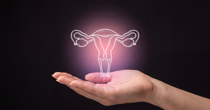 Human female reproductive system icon glowing above an open palm for medical health concept.