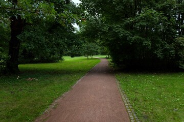 Fototapeta premium Empty winding gravel path leading through a lush green park surrounded by mature trees, creating a peaceful natural setting for walking and recreation.