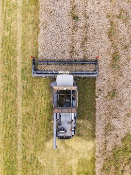 Aerial view of a combine harvester working in a field of rapeseed with visible grain tank and harvested crop rows in Talsi Municipality, Latvia.