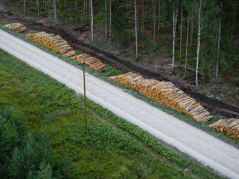 Aerial view of stacked timber logs along a gravel road winding through a dense pine forest in Ance Parish, Ventspils Municipality, Latvia.