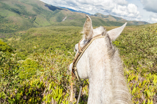 Horseback Riding POV Overlooking Green Mountain Landscape