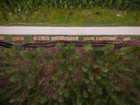 Aerial view of a dense forest landscape with a dirt road and neatly stacked timber logs ready for transport. Ance parish, Ventspils Municipality, Latvia.