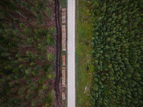 Aerial view of a dirt road cutting through a dense coniferous forest with stacks of timber logs piled along the edge in Ance parish, Ventspils Municipality, Latvia.