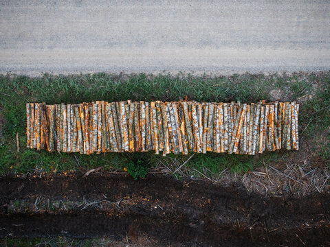 Aerial view of a large stack of harvested birch logs lying on the grass beside a dirt road in Ance parish, Ventspils Municipalit, Latvia.