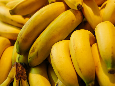Close up of banana fruits in grocery market