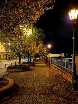 Street at autumn night 