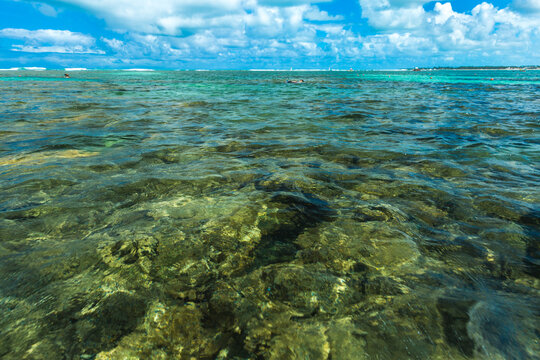 Clear Ocean Water Over Coral Reef in Tropical Sea