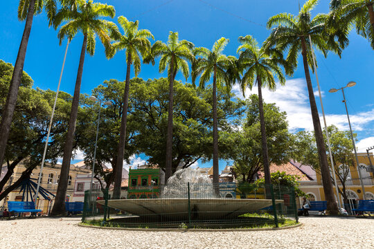 Public Town Square with Fountain and Tall Palm Trees