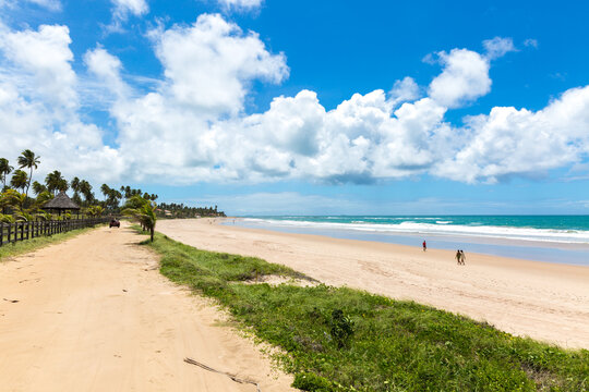 Scenic Tropical Sandy Beach with Ocean and Blue Sky