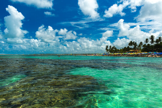 Tropical Beach with Turquoise Coral Reef and Clear Water