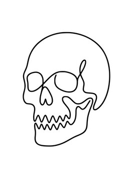 Skull side view line art illustration