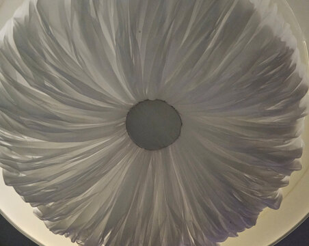 Large round ceiling design made of fabric showing folds