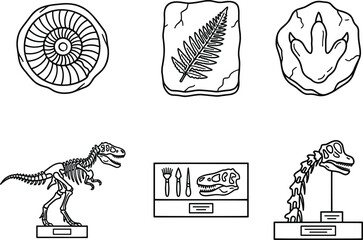 Paleontology museum fossils collection set ammonite fern imprint dinosaur footprint skeleton display line art vector. © Md. Mozammel Hoq