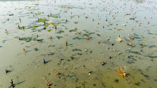 Pabna, Bangladesh - 28 November 2023: Aerial view of fishermen using traditional lift nets in the shallow waters of the Chalan Beel wetland, with aquatic vegetation and calm water.