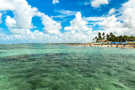 Tropical Beach with Turquoise Ocean and Palm Trees