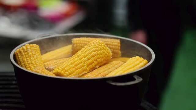 Corn cobs boiling in pot with bubbling water. Fresh yellow corn cooking in pan on stove. Healthy vegetarian food preparation and organic vegetable cooking concept.