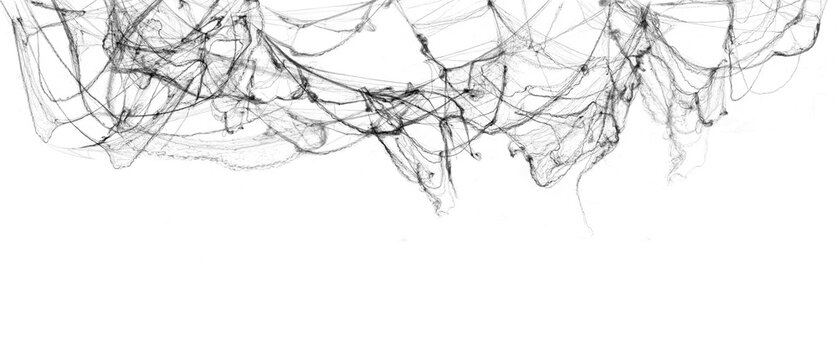 Tangled spider's web on isolated white background for Halloween design. Black cobweb for applying in multiply blend mode on any concept