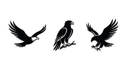 Fototapeta premium Set of three black eagle silhouettes in different poses