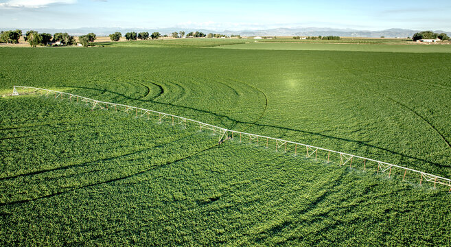 Greeley, Colorado, United States - 20 August 2026: Aerial view of a center-pivot irrigation system watering a green field on the eastern slope of Colorado, with distant mountains.