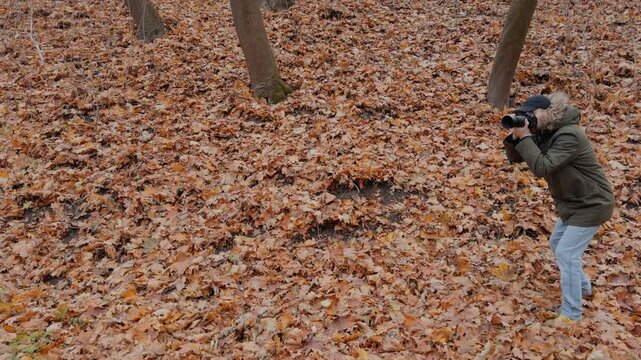 Photographer walking on autumn woodland leaf slope, pausing to raise camera to eye while wearing olive parka and black cap under overcast sky with mossy tree trunks and scattered maple leaf litter