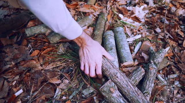 Weathered log pile on damp forest floor amid autumn leaves, moss, and rough bark textures, close-up, ground-level perspective highlighting natural color, texture, and rustic woodland atmosphere for