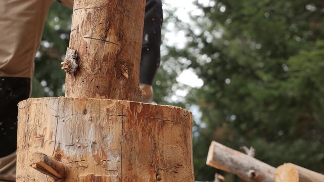 Low-angle view of worker chopping firewood on outdoor birch stump, upright log piece splitting as wood chips fly from axe strike