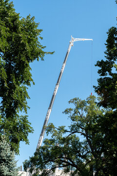 Tall construction crane rising between lush green trees under a clear blue sky, blending industrial construction with nature and urban surroundings, featuring a long boom and suspended cable