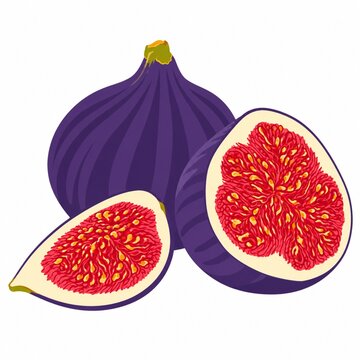 A fresh whole dark purple fig stands alongside a cut half and a wedge revealing vibrant red flesh and seeds in a clean vector illustration isolated on a white background.