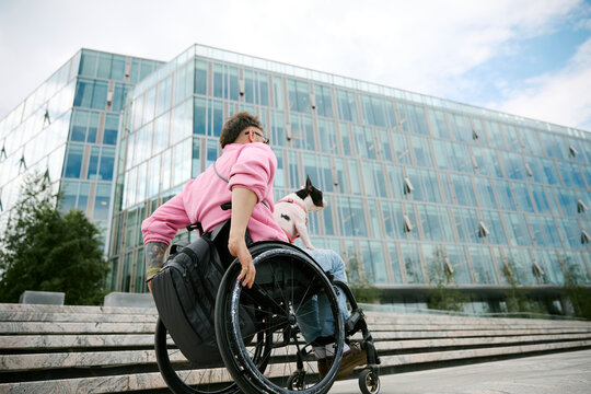 Man in wheelchair sits with his dog looking at a modern city building