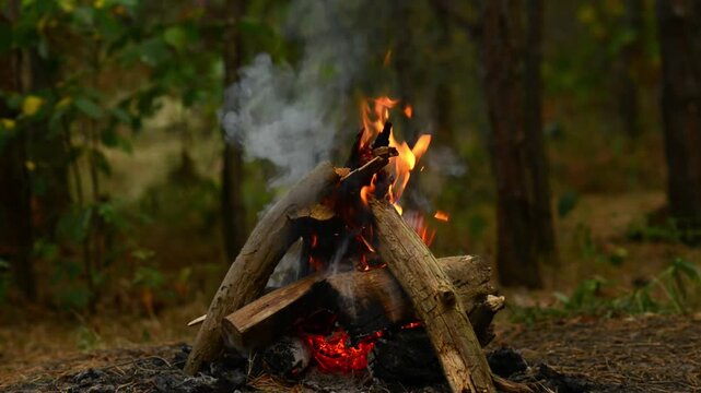 Relaxing Fire Soundscape and Campfire Looping Video. Seamless video loop of a burning campfire with immersive natural audio, optimized for relaxation therapy, sleep soundscapes, meditation guides