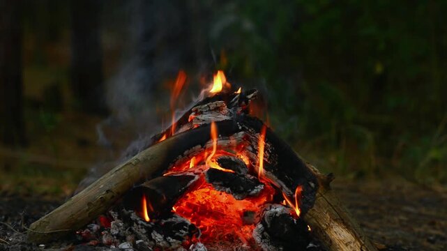 Seamless looping video capturing a cozy campfire in a dark forest at night, highlighting bright dancing flames, burning wood logs, and intense glowing red coals with authentic natural ambient audio.