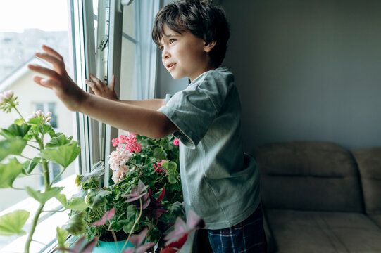 A curious boy looks out the window at home