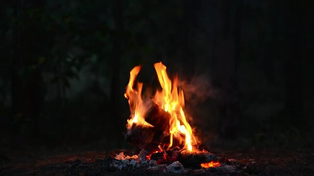Seamless Looping Video of Campfire Flames and Firewood Logs. Close-up seamless video loop of bright campfire flames dancing over burning firewood logs and glowing embers at night.