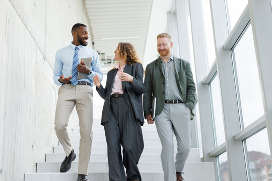 Business colleagues walk down modern office stairs and talk