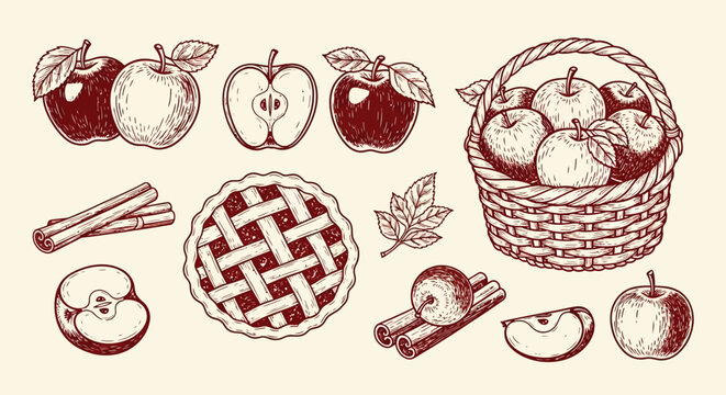 Vintage hand drawn apple harvest vector set, rustic fruit basket and cinnamon sticks, traditional lattice apple pie illustration