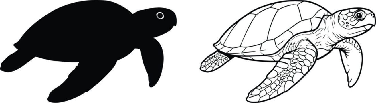 Turtle Vector Illustration with Detailed Shell Design and Simple Silhouette
