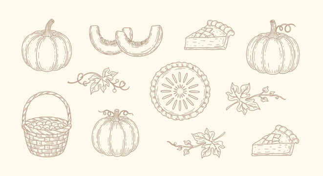 Vintage autumn harvest vector set, hand drawn pumpkin and pie illustrations, rustic thanksgiving icons for seasonal branding