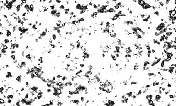 Irregular black and white splatter pattern creates an organic textured background texture