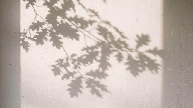 Shadows of oak leaves dance across a textured wall, casting an ephemeral and artistic pattern, hinting at nature's subtle intrusion into an indoor space.