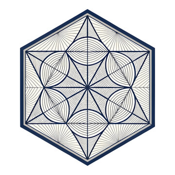 stroke hexagon geometric shape vector