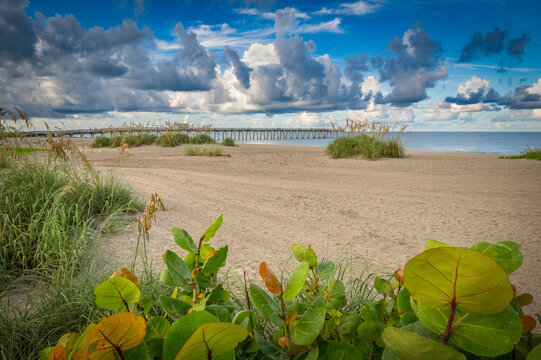 Early morning clouds over the Gulf of America formally the Gulf of Mexico at the Venice Pier in Venice Florida  in southwest Florida USA